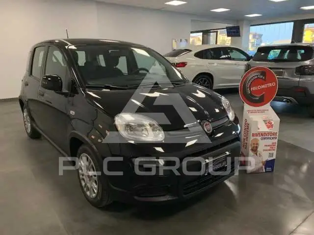 2023 Fiat Panda