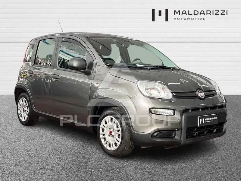 2023 Fiat Panda