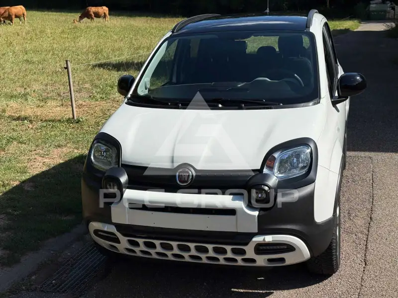 2023 Fiat Panda