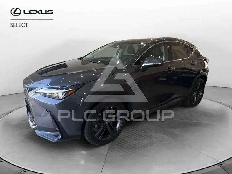 2023 Lexus Other