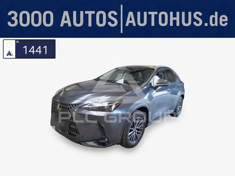 2023 Lexus NX250