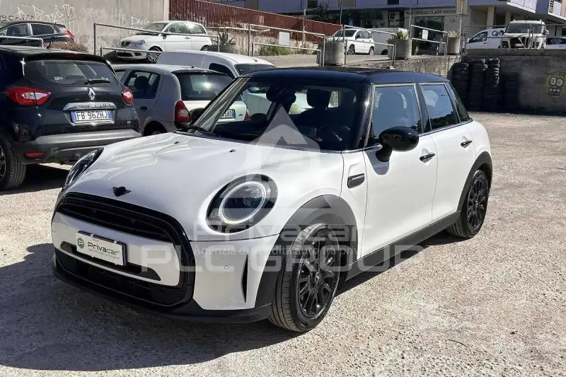 2023 Mini Unknown