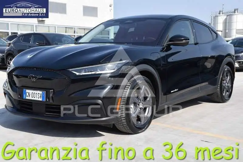 2023 Ford Other