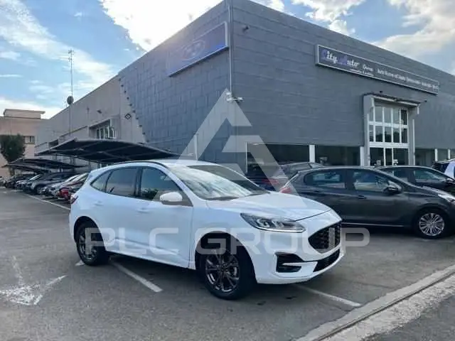 2023 Ford Kuga