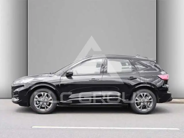 2023 Ford Kuga