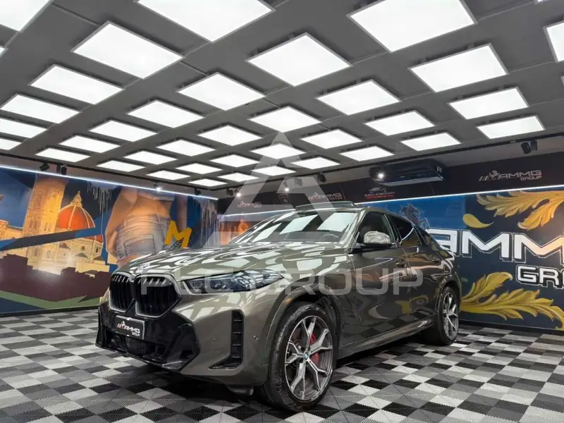 2024 BMW X6