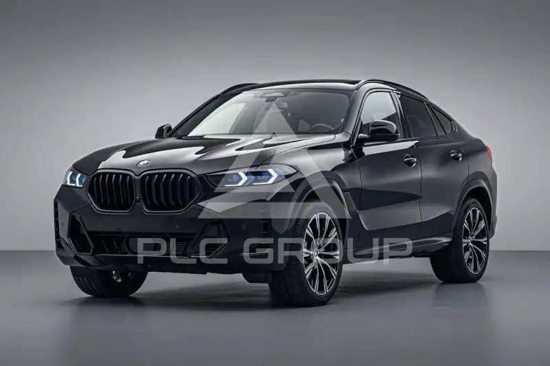 2024 BMW X6
