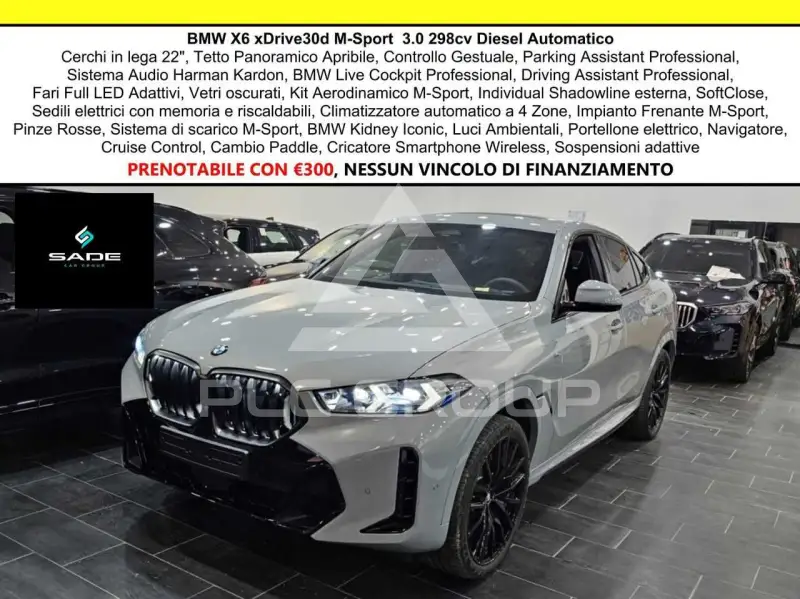 2024 BMW X6
