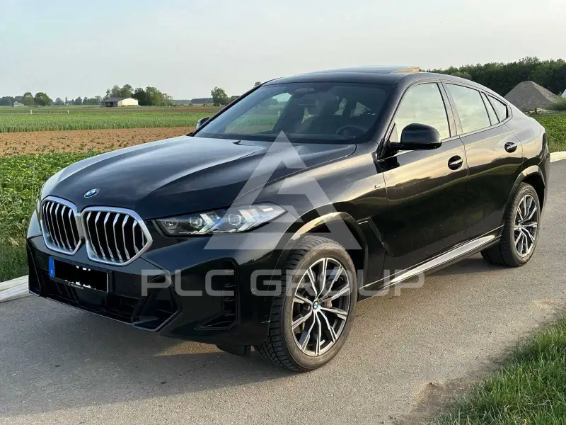 2024 BMW X6