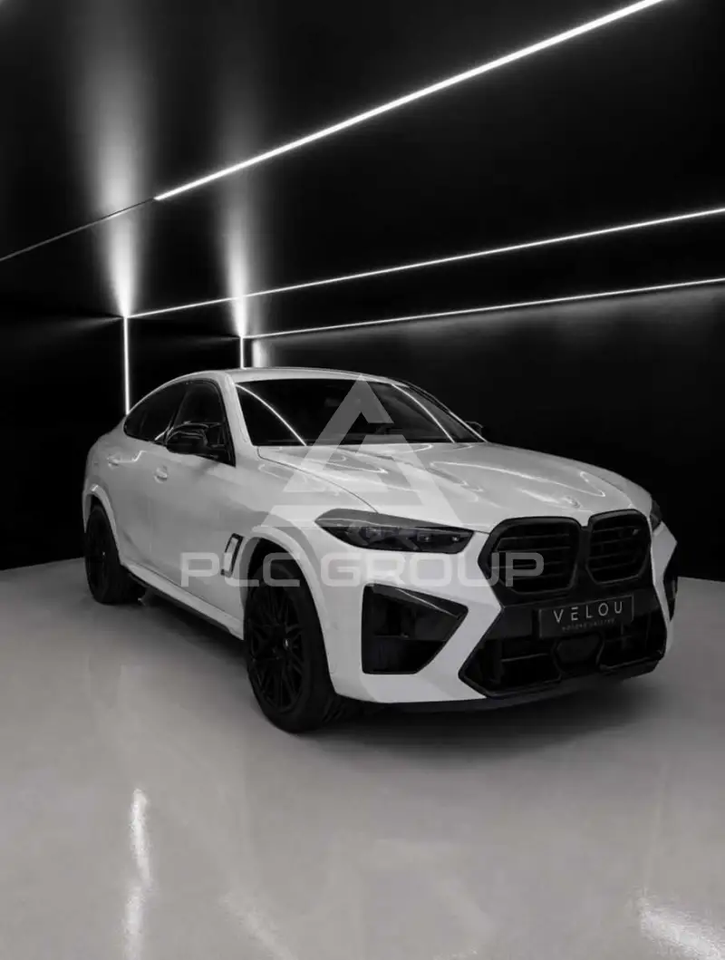 2024 BMW X6