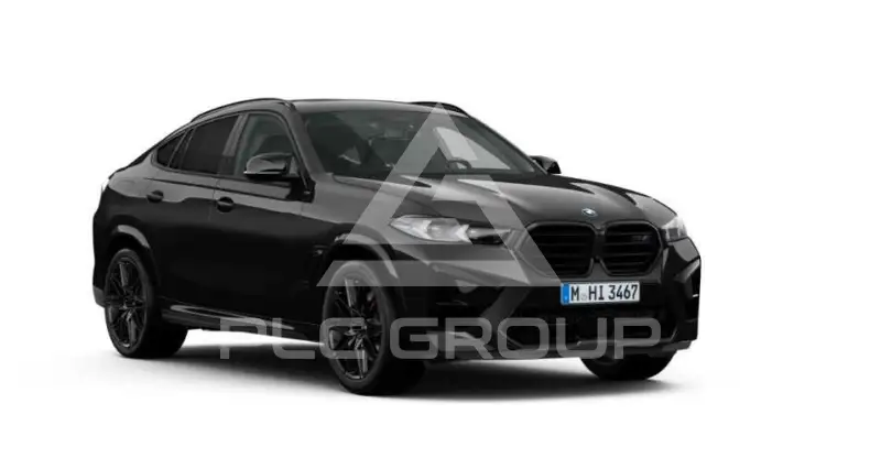 2024 BMW X6