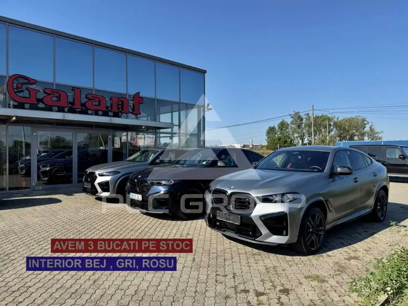 2024 BMW X6