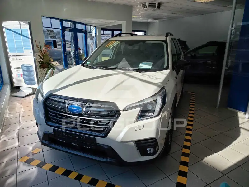 2024 Subaru Forester