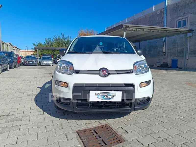 2024 Fiat Panda