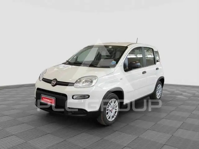 2024 Fiat Panda