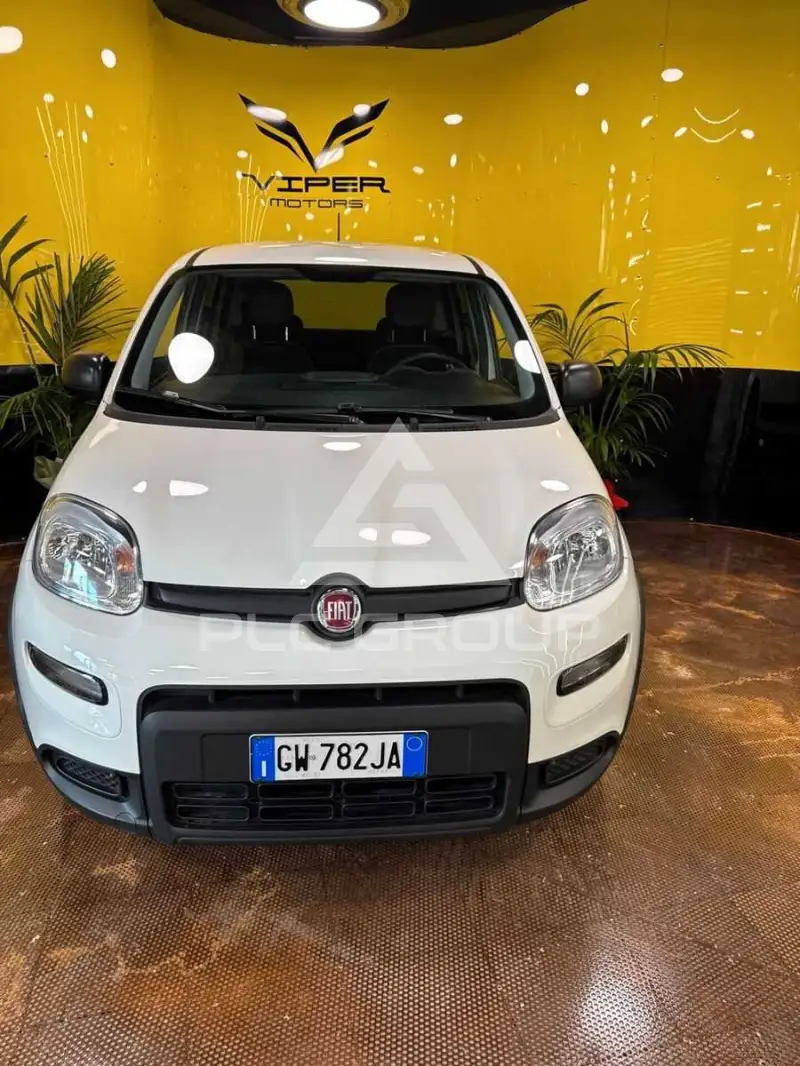 2024 Fiat Panda