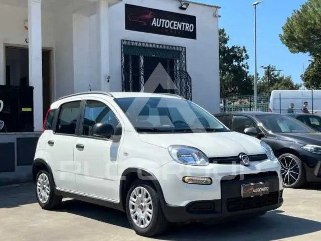 2024 Fiat Panda