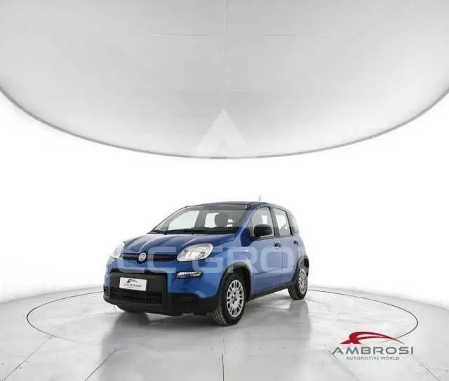 2024 Fiat Panda