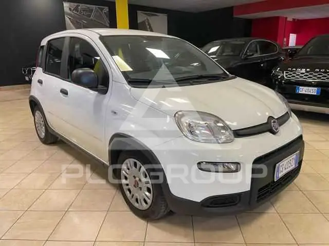 2024 Fiat Panda