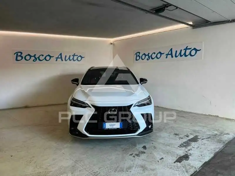 2024 Lexus Other