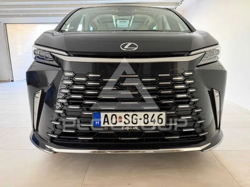 2024 Lexus LM 300
