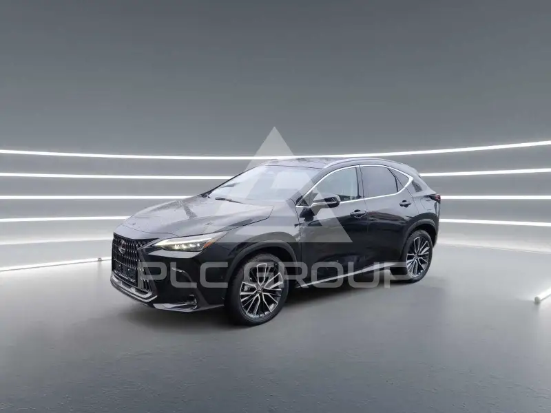 2024 Lexus NX250
