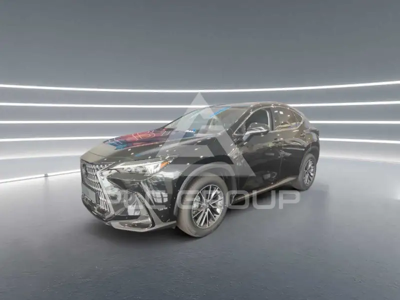 2024 Lexus NX250