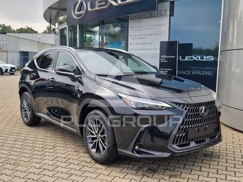 2024 Lexus NX250