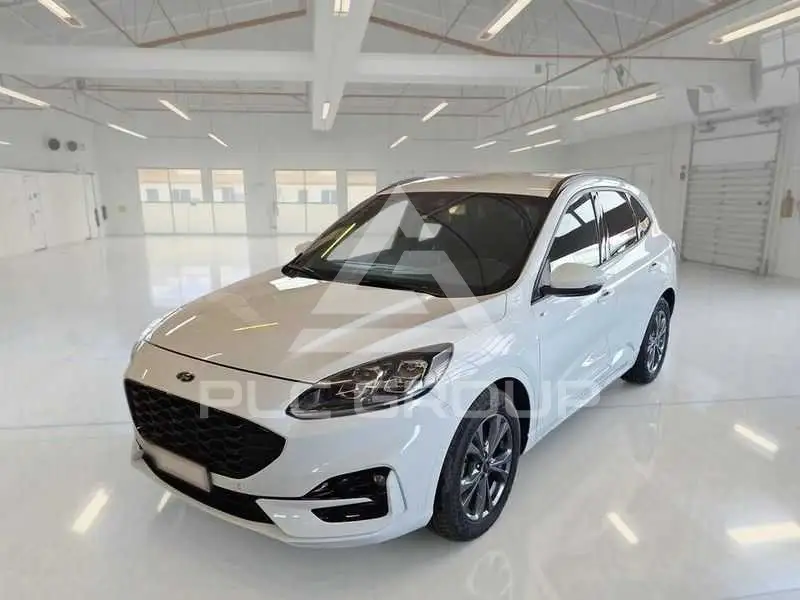 2024 Ford Kuga