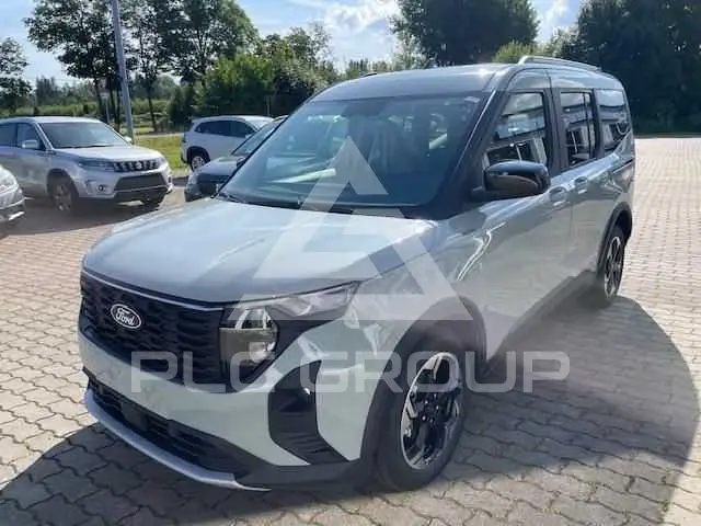 2024 Ford Tourneo