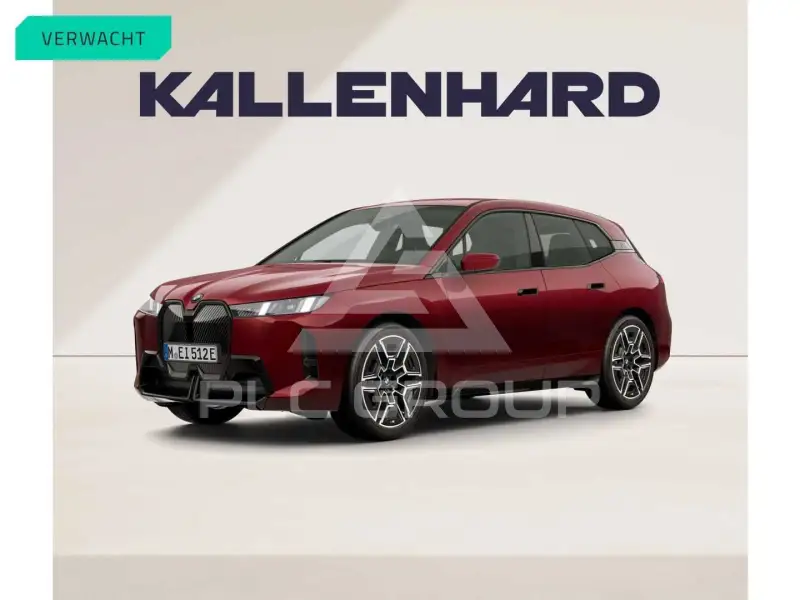 2025 BMW iX