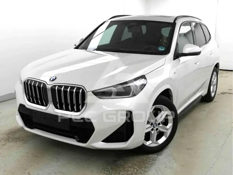 2025 BMW X1