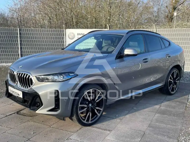 2025 BMW X6