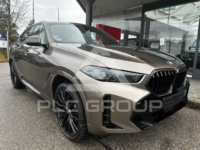 2025 BMW X6