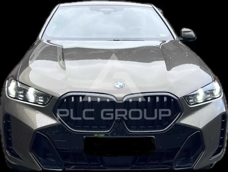 2025 BMW X6