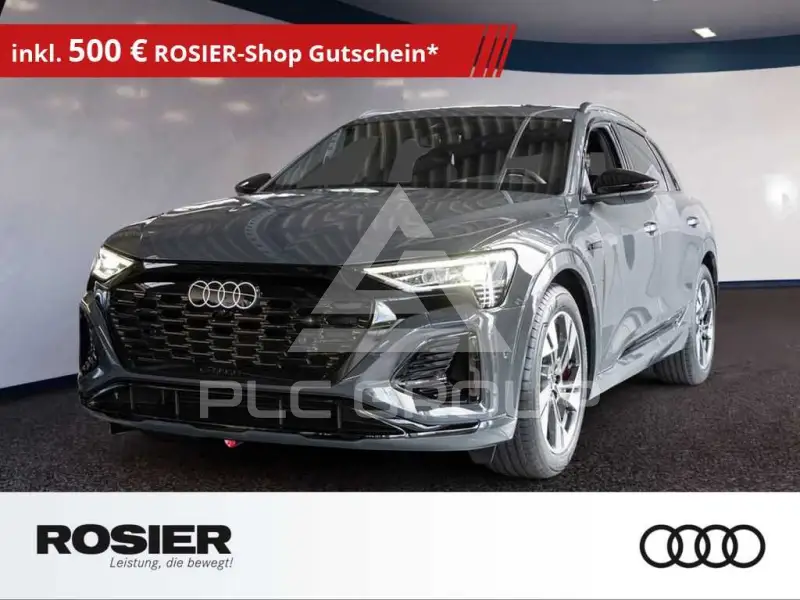 2025 Audi Q8