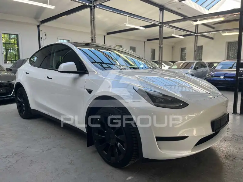 2025 Tesla Model Y