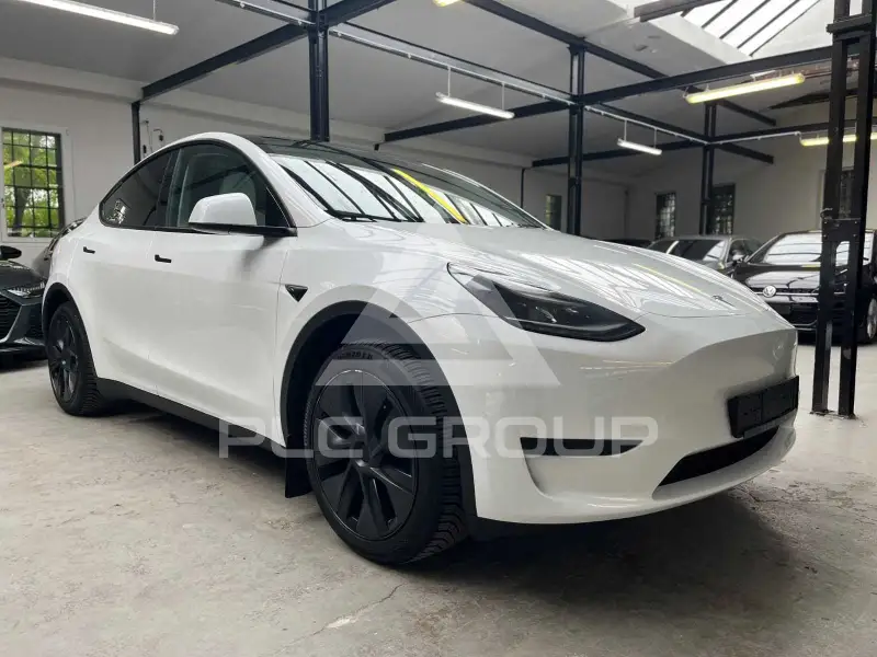 2025 Tesla Model Y