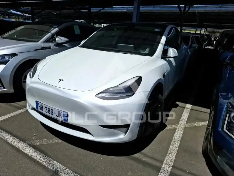 2025 Tesla Model Y