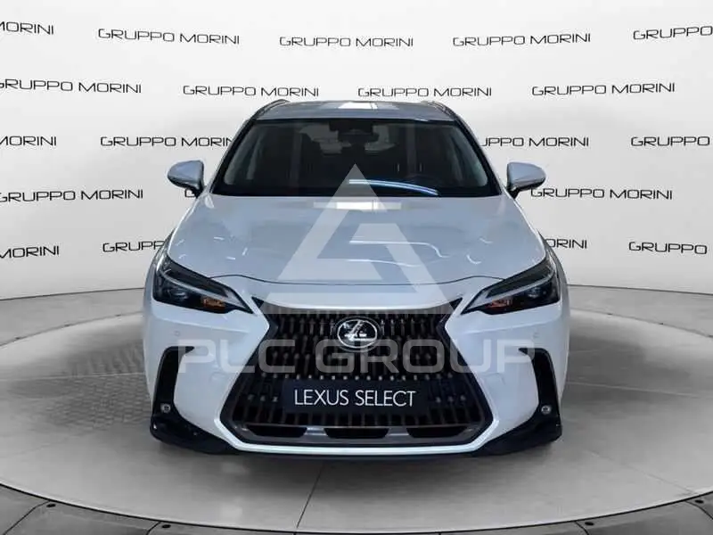2025 Lexus Other