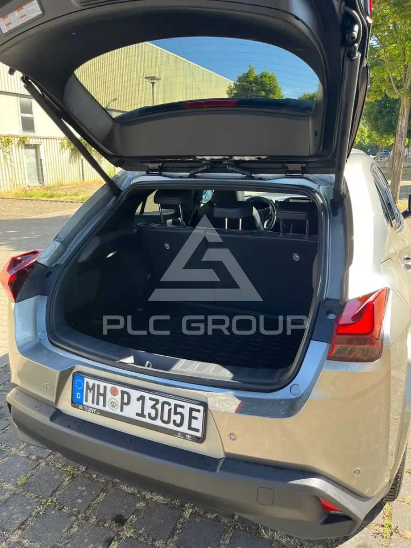 2025 Lexus UX