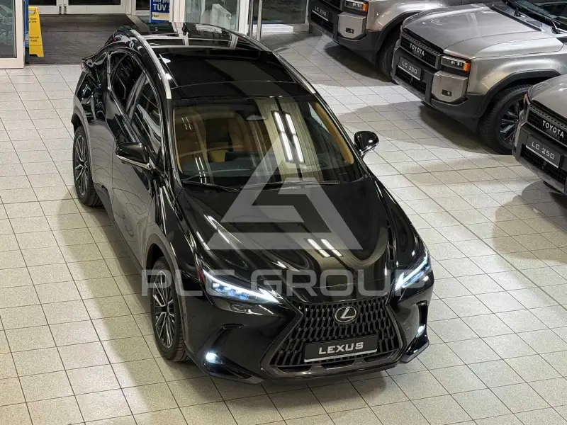 2025 Lexus NX250