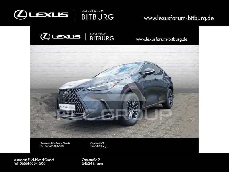2025 Lexus NX250