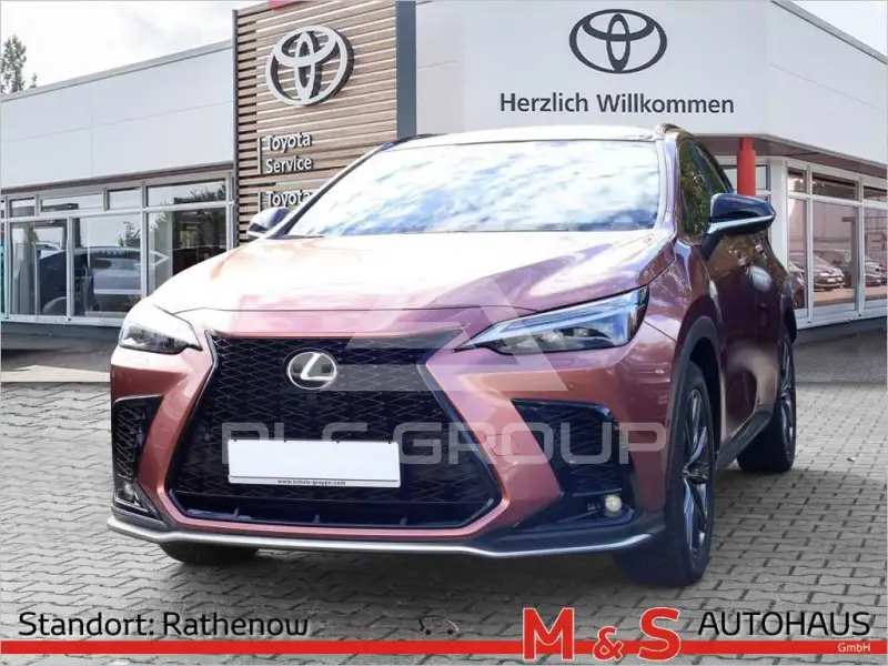 2025 Lexus NX250