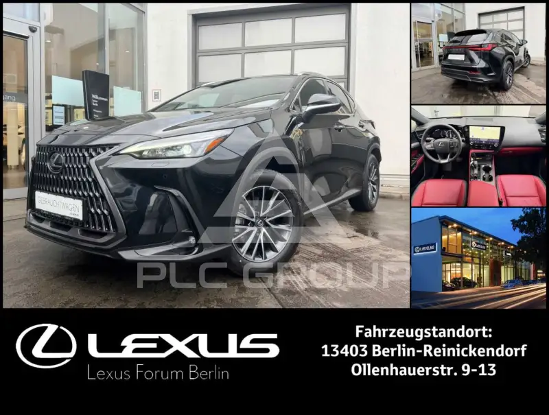 2025 Lexus NX250