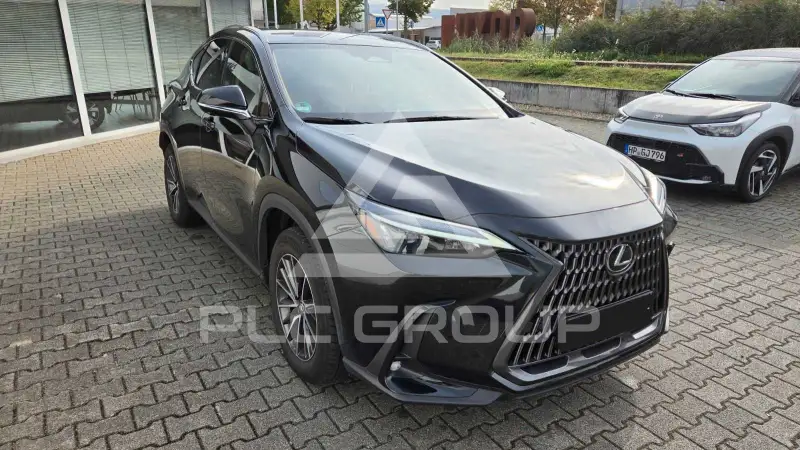 2025 Lexus NX250