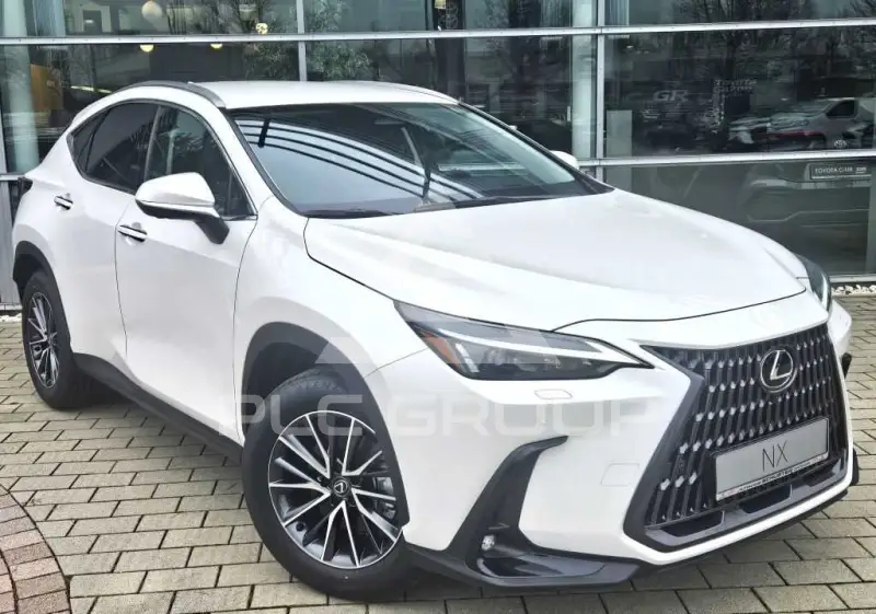 2025 Lexus NX250