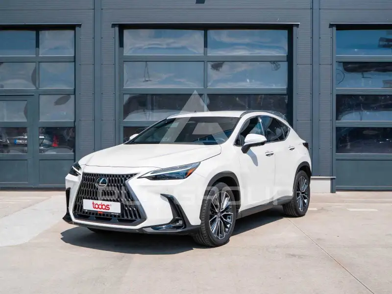 2025 Lexus NX450