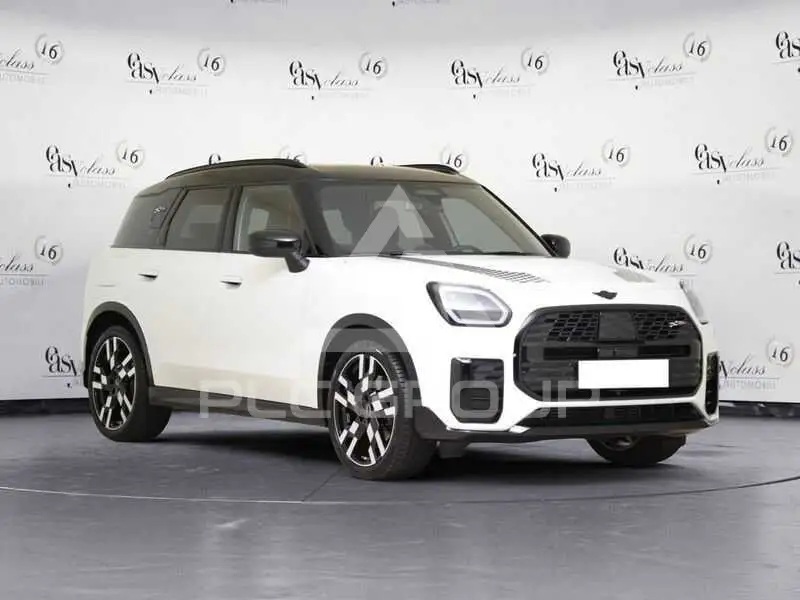 2025 Mini Unknown