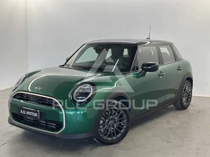 2025 Mini Unknown